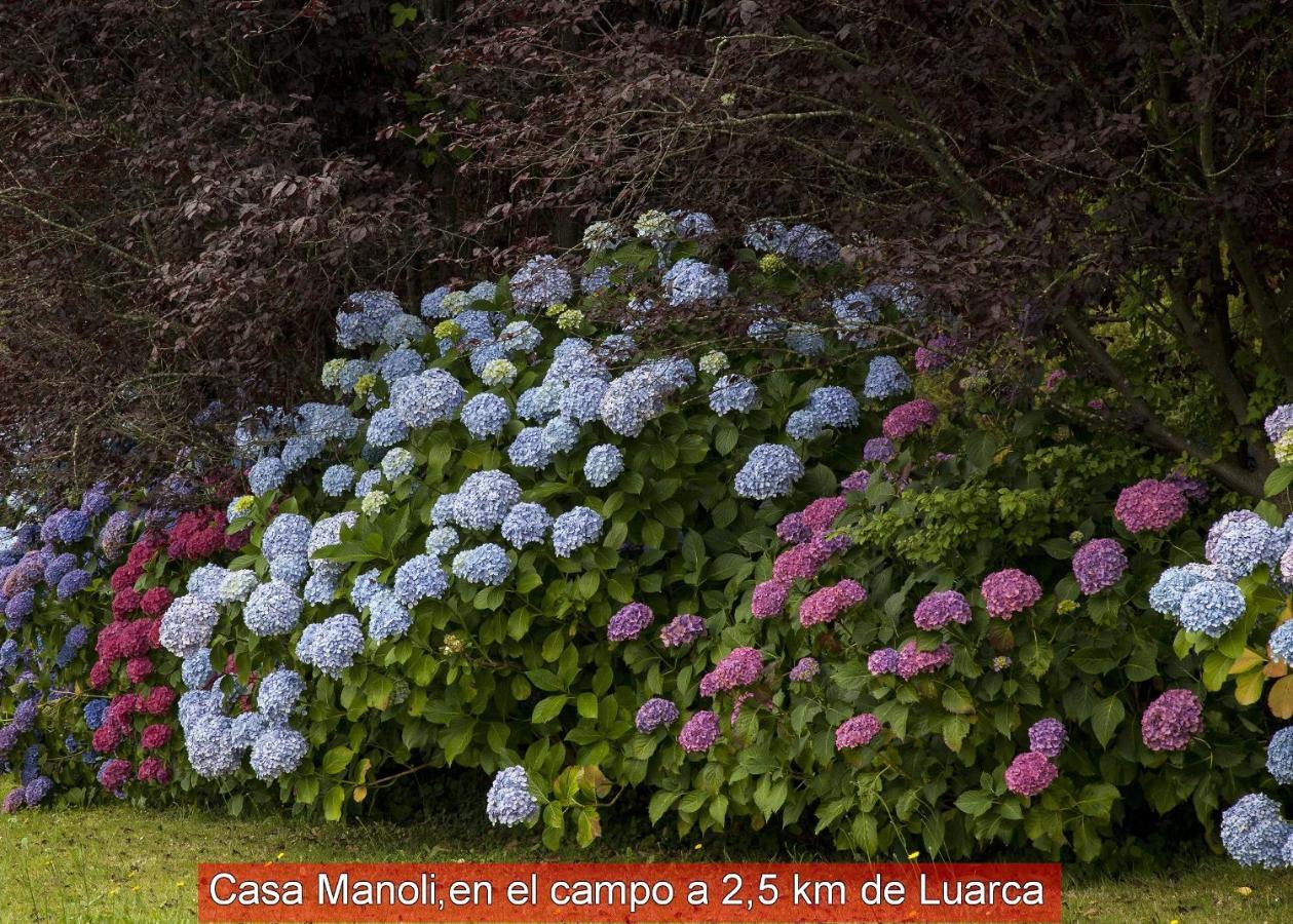 Casa Manoli Luarca Guest House Almuña Екстериор снимка